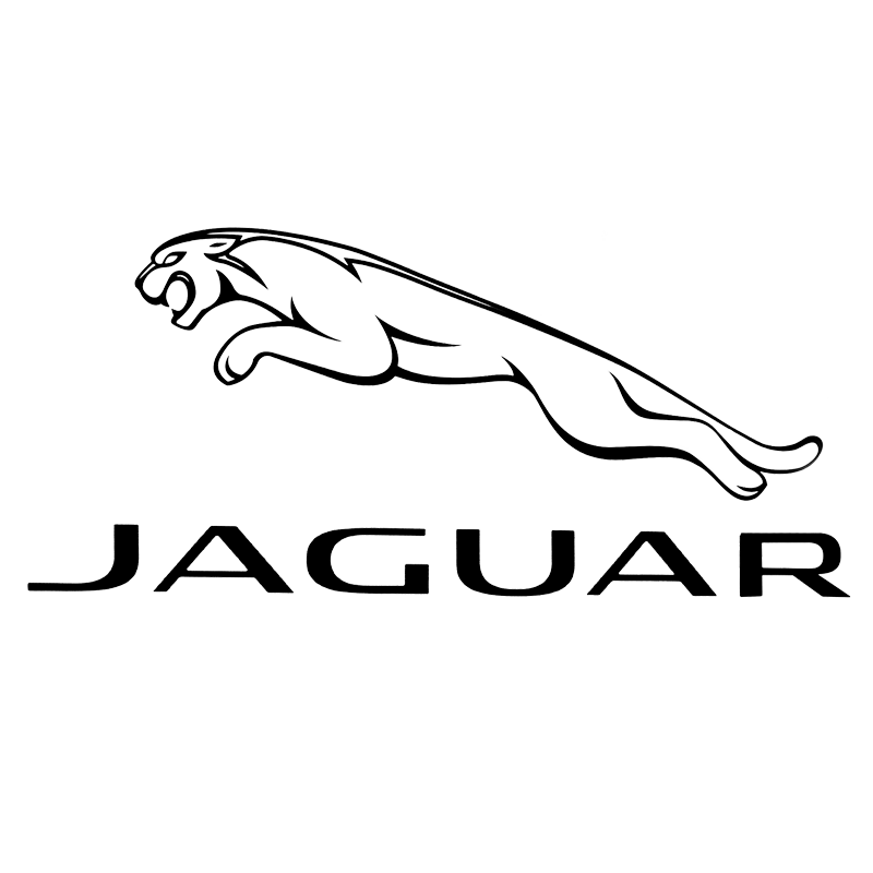 Jaguar Position Statement